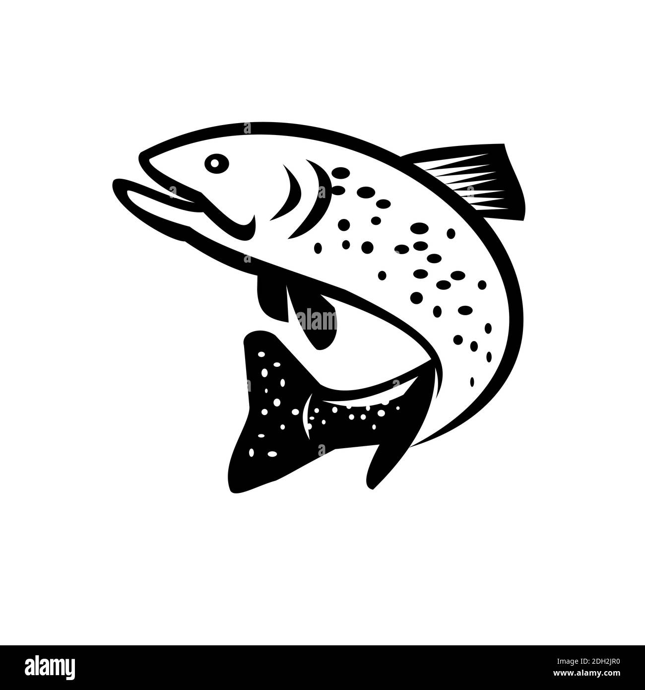 Trout fish jumping black white hi-res stock photography and images
