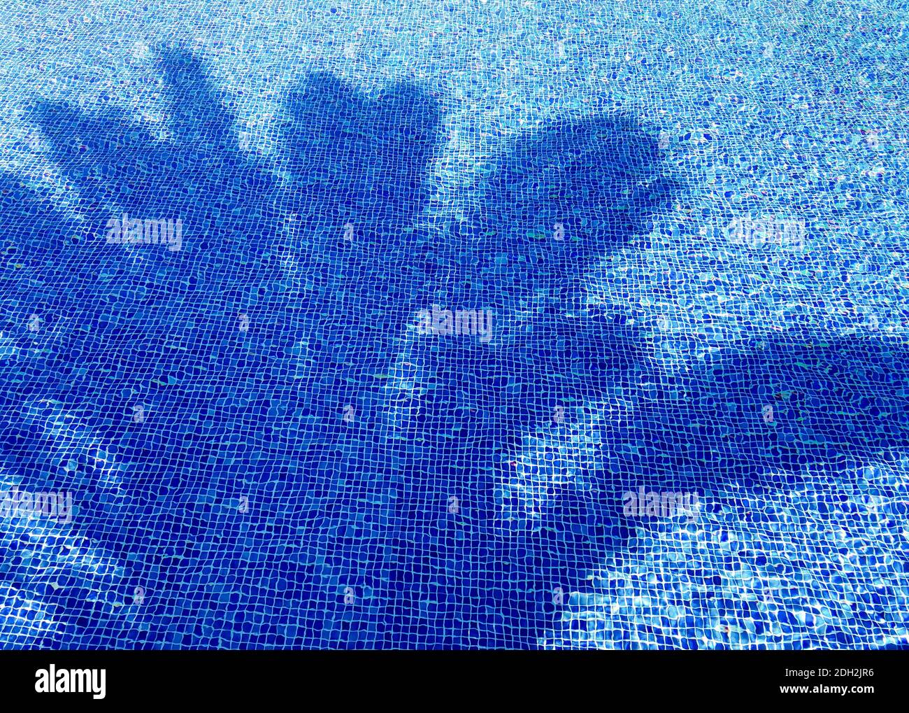 Swimming pool water with ripples, refractions on blue tiles, and palm