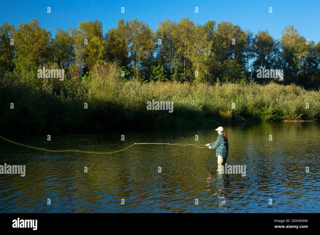 Flyfishing on the North Santiam River, Riverside Park, Stayton, Oregon