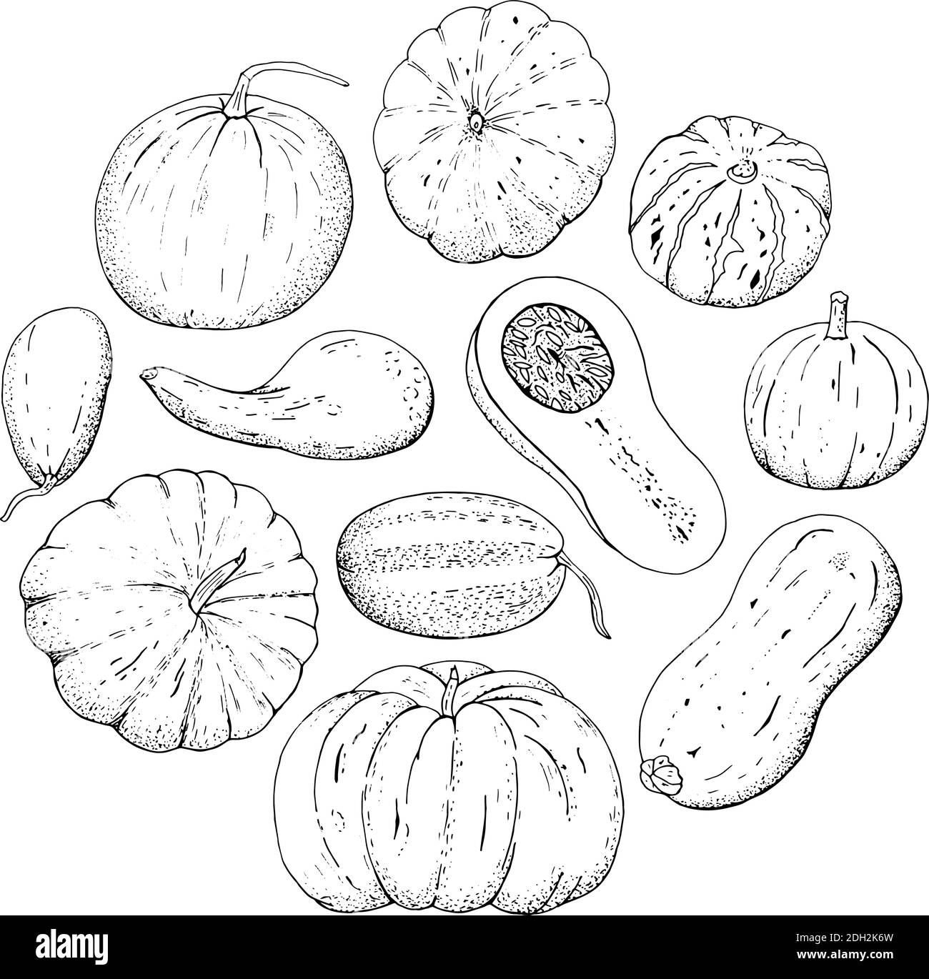 Set of black and white elements. Autumn harvest pumpkins, vector set of isolated elements. Stock Vector