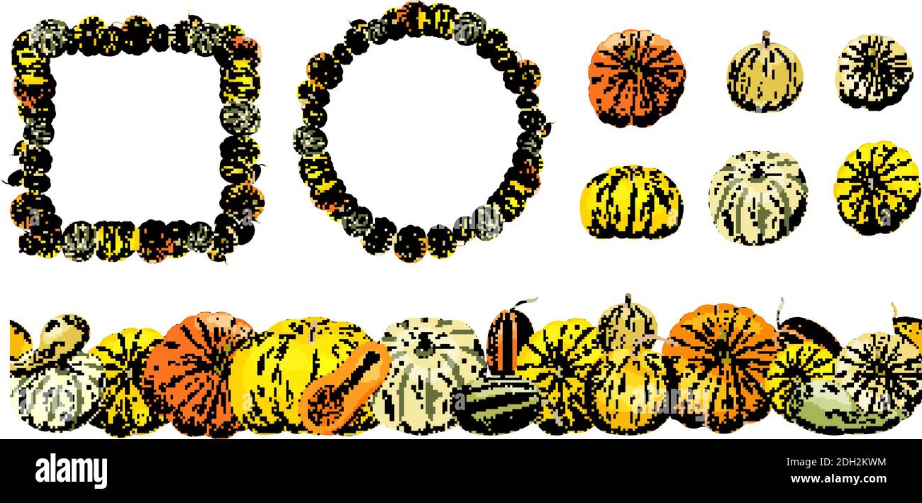 Autumn harvest pumpkins, vector set of isolated elements on white background. Vegetable wreath, square frame, seamless borders and elements for your d Stock Vector