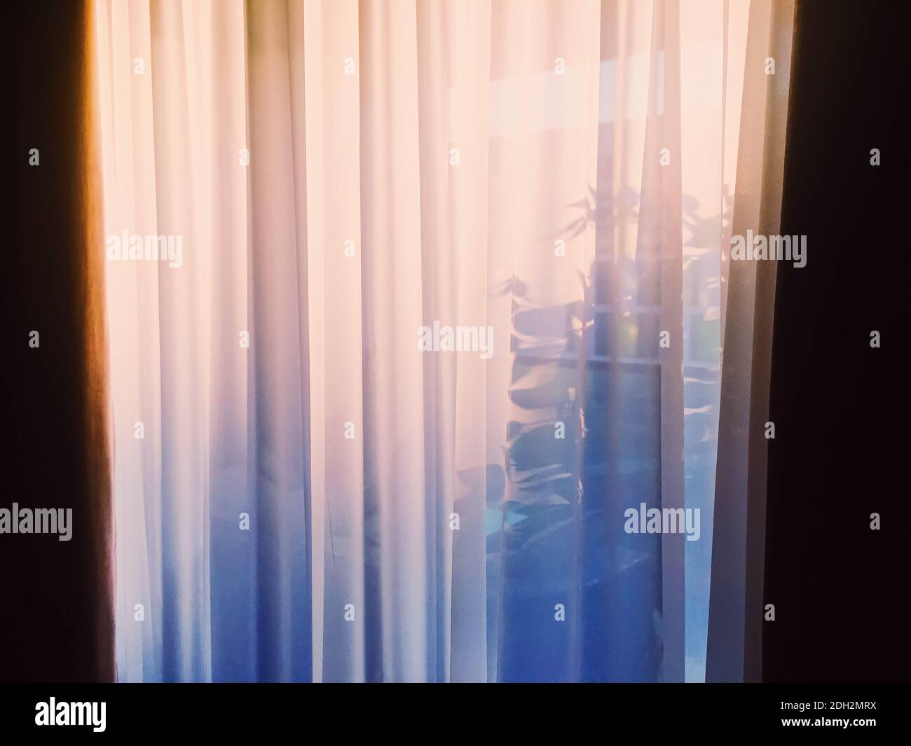 Curtains on window at sunset Stock Photo