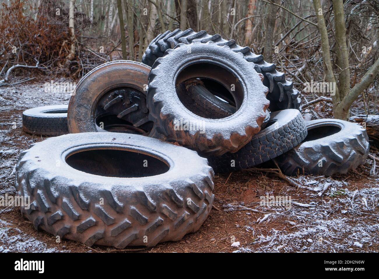 Old tractor tires dumped in the forest. Stock Photo