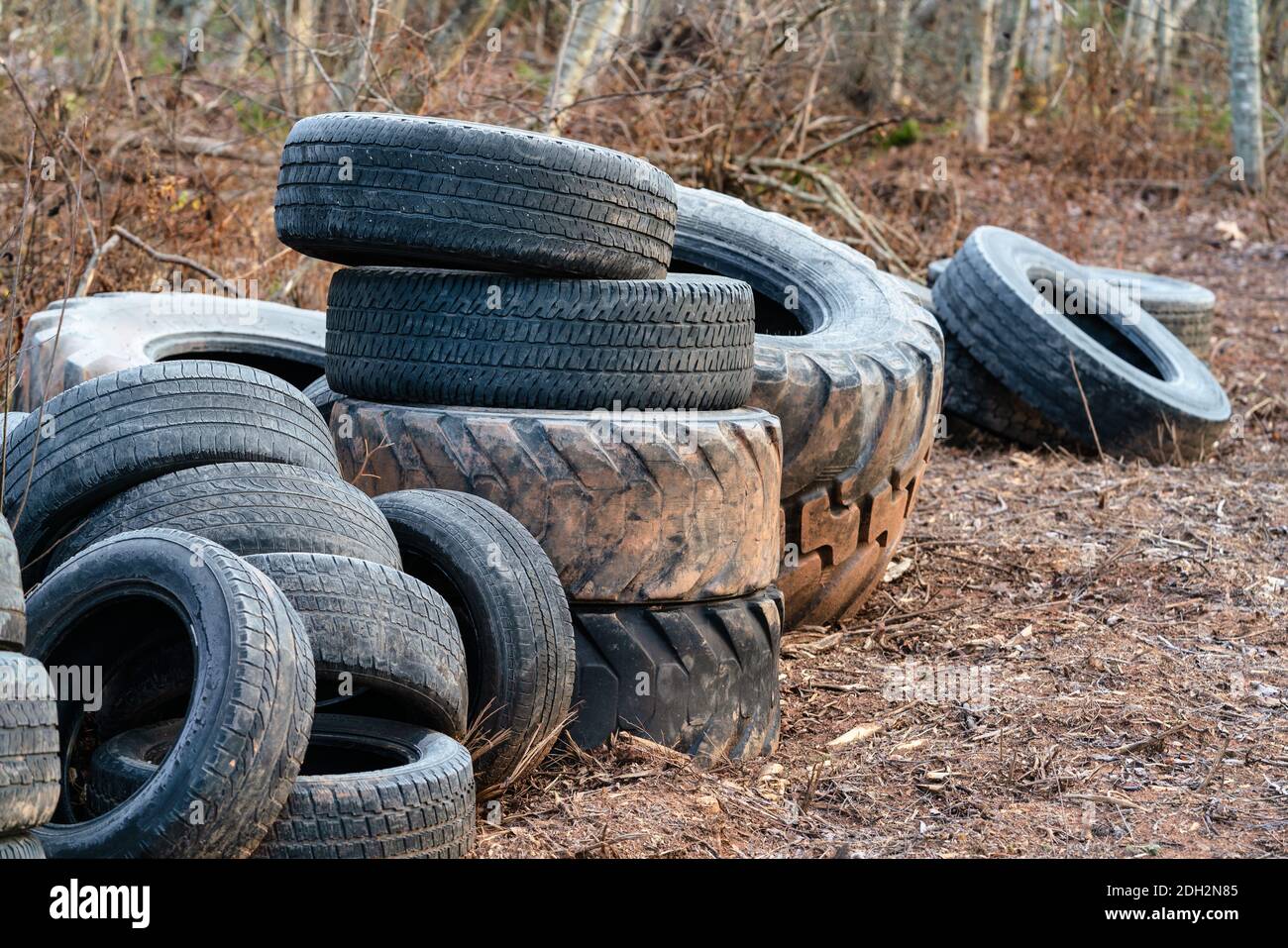 Old tractor tires dumped in the forest. Stock Photo