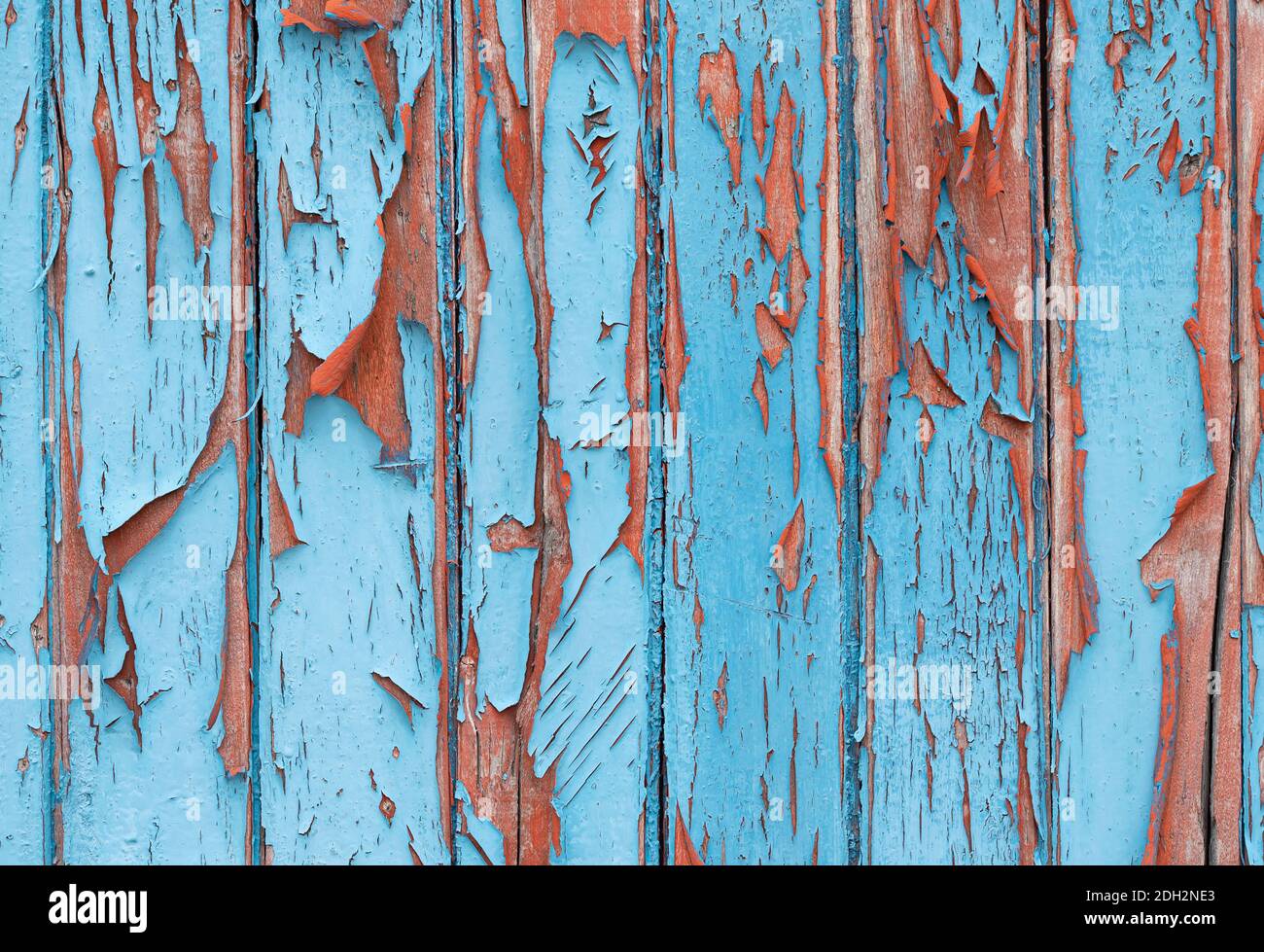Old fence with the bluepeeled-off paint Stock Photo