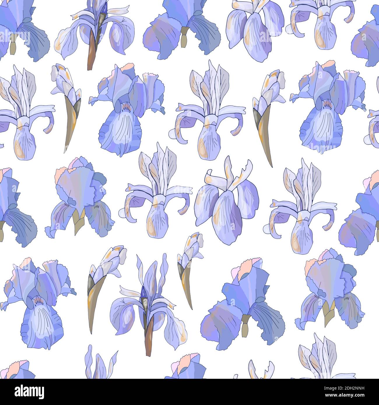Romantic floral seamless pattern with violet irises. Stock Vector