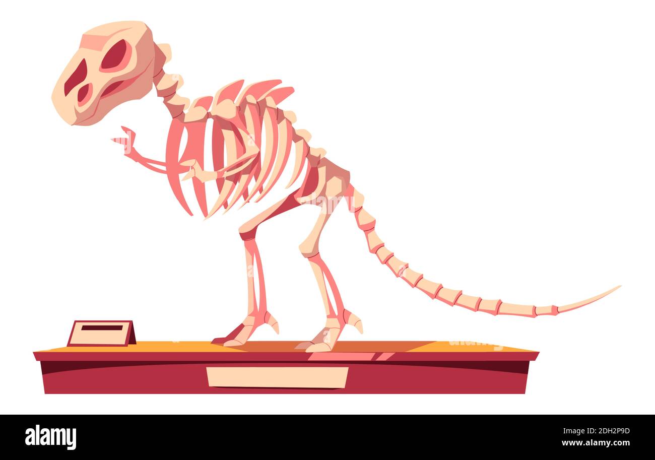 Fragment of dinosaur skeleton, fossilized bones of prehistoric lizards cartoon vector illustration Stock Vector