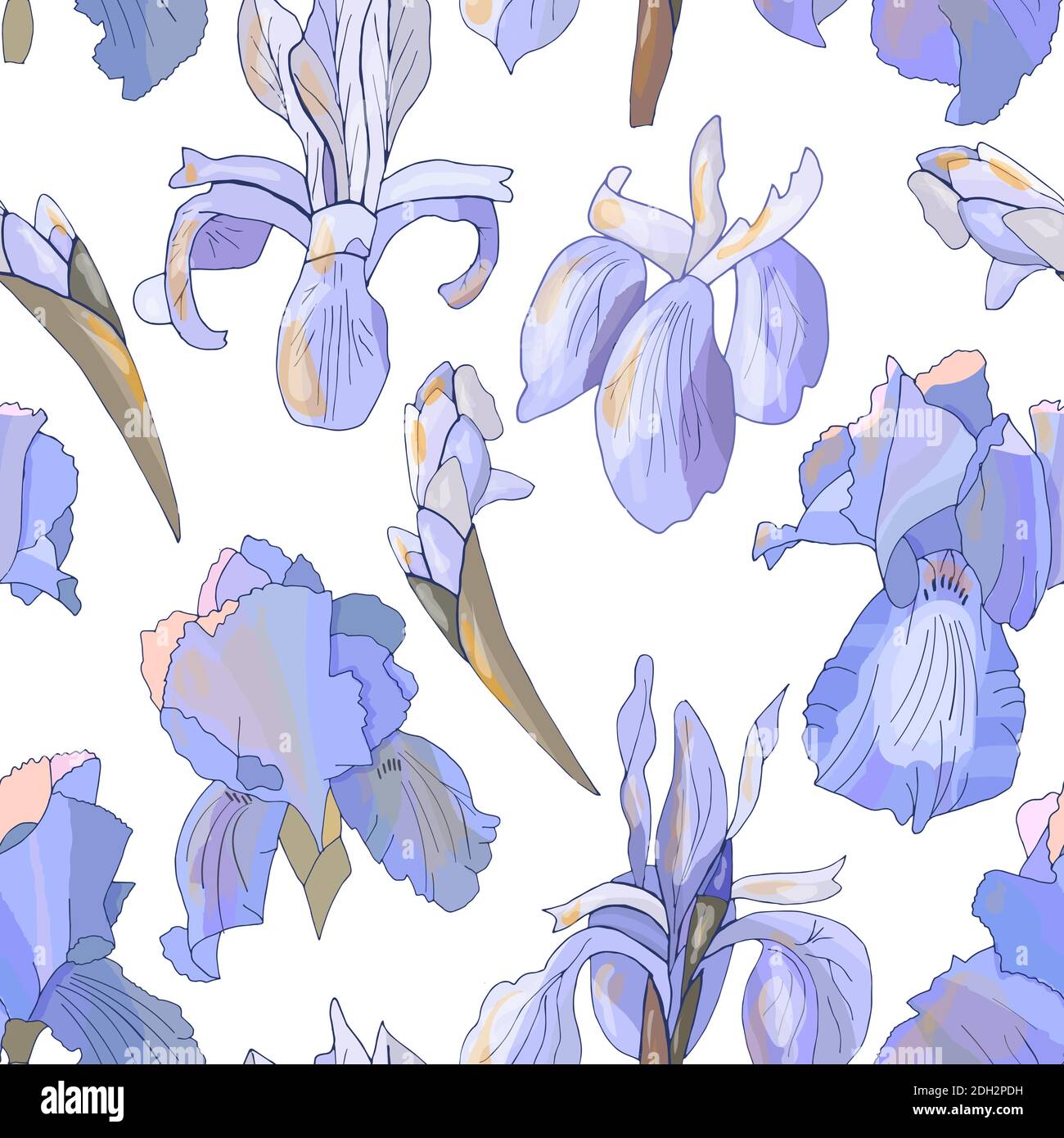 Romantic floral seamless pattern with irises. Stock Vector