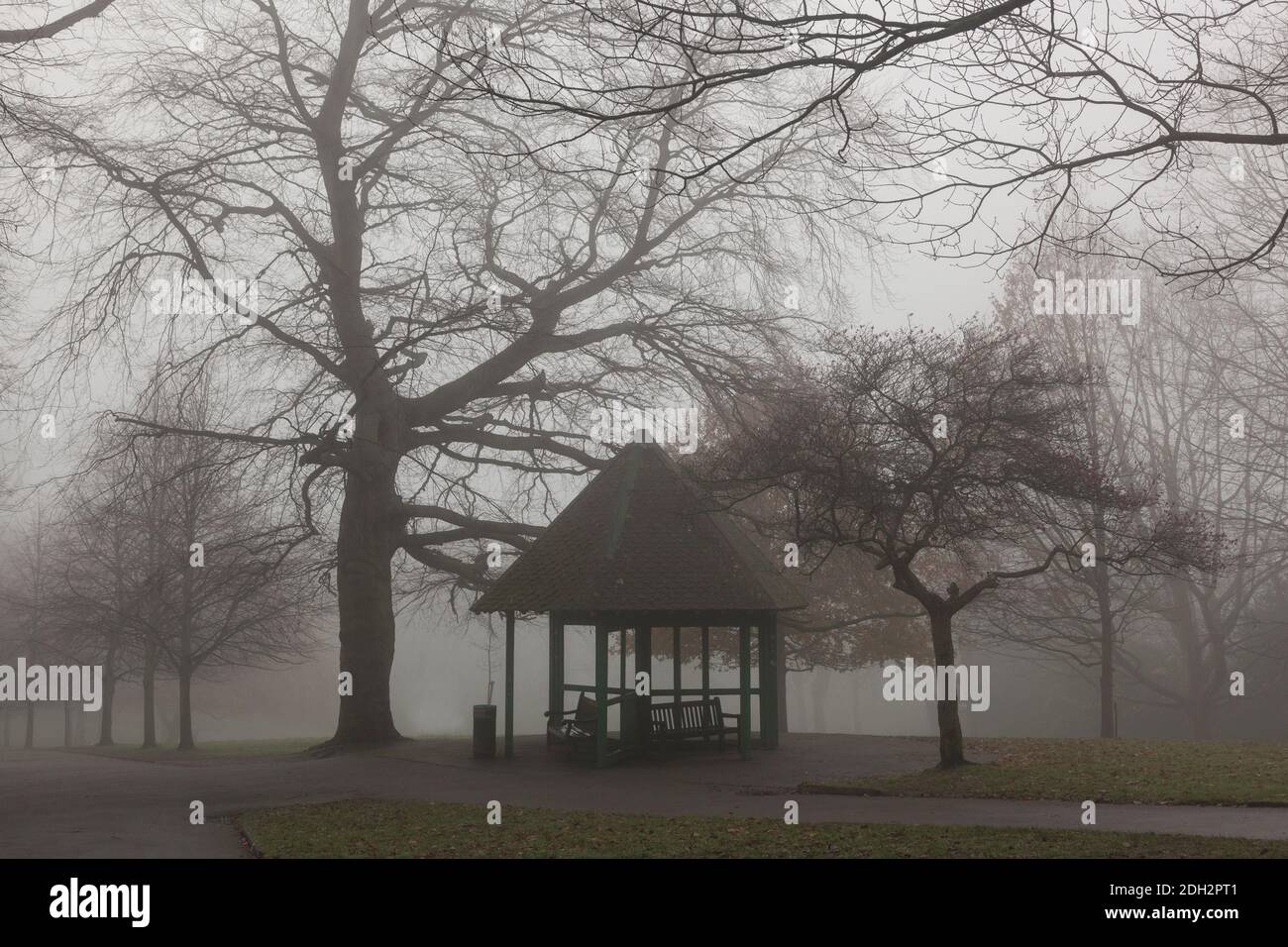 misty morning in Waterlow Park, London, United Kingdom Stock Photo
