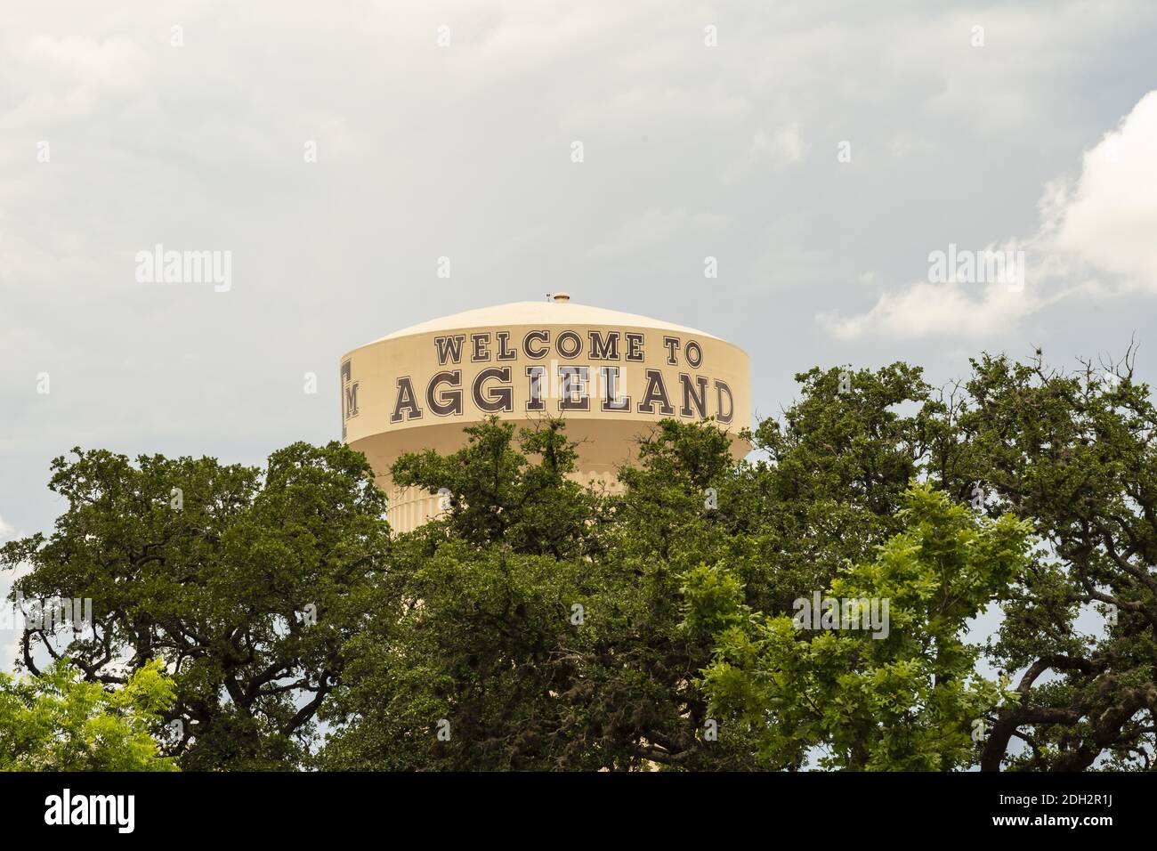 View of Texas AM University in College Station, Texas Stock Photo