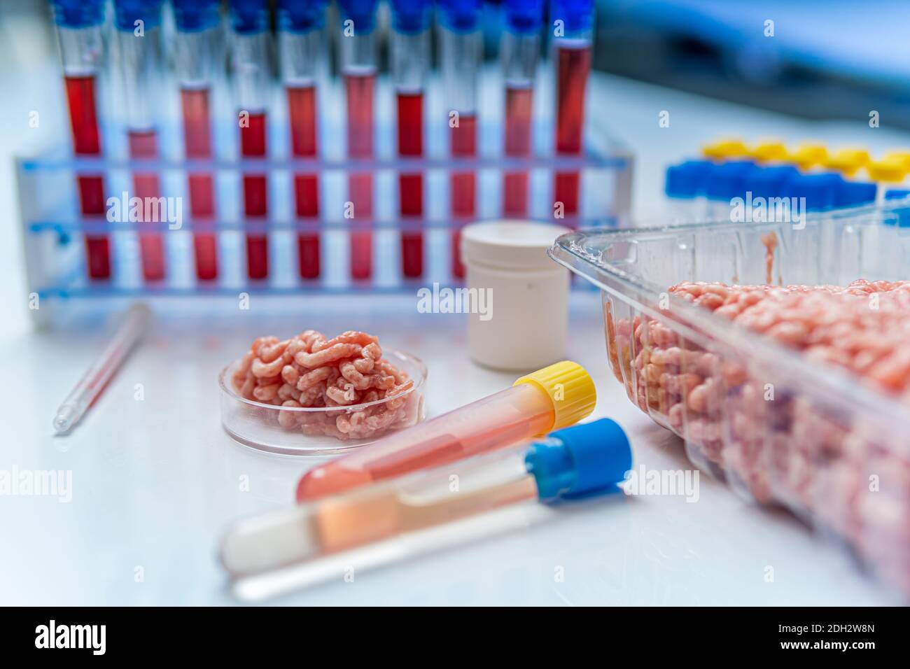 Food quality control concept. Artificial meat in laboratory. Stock Photo
