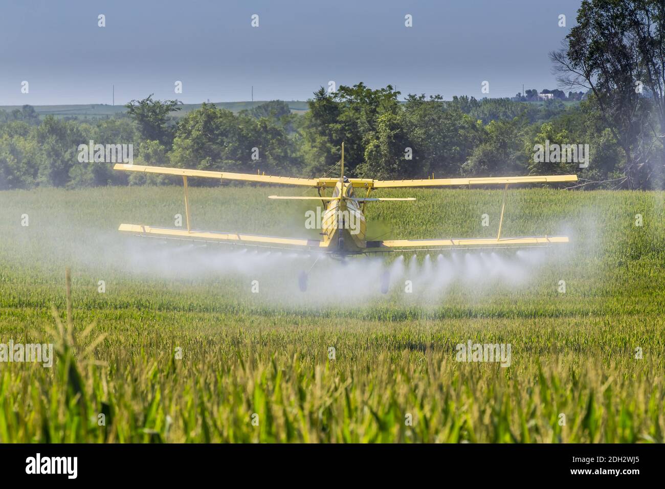 Crop dusting airplane spraying corn hires stock photography and images