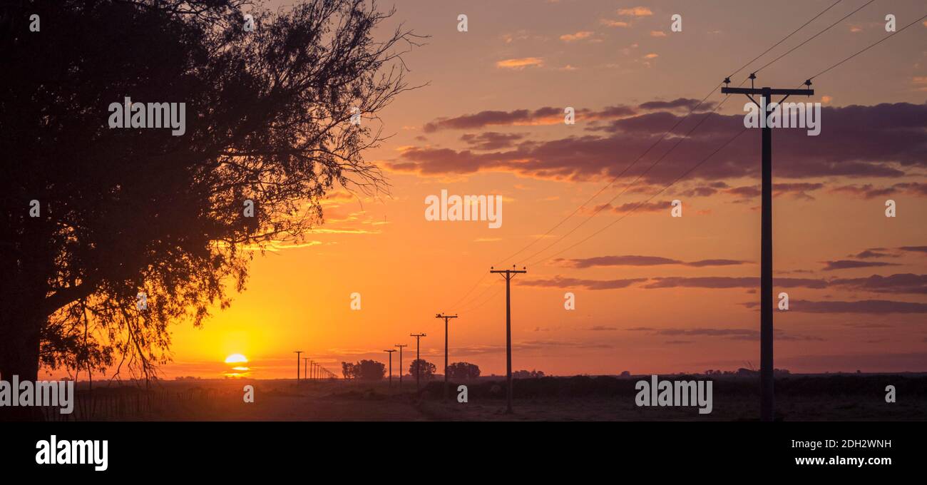 Sunset in the plains of the Argentine Pampas with electric post Stock Photo