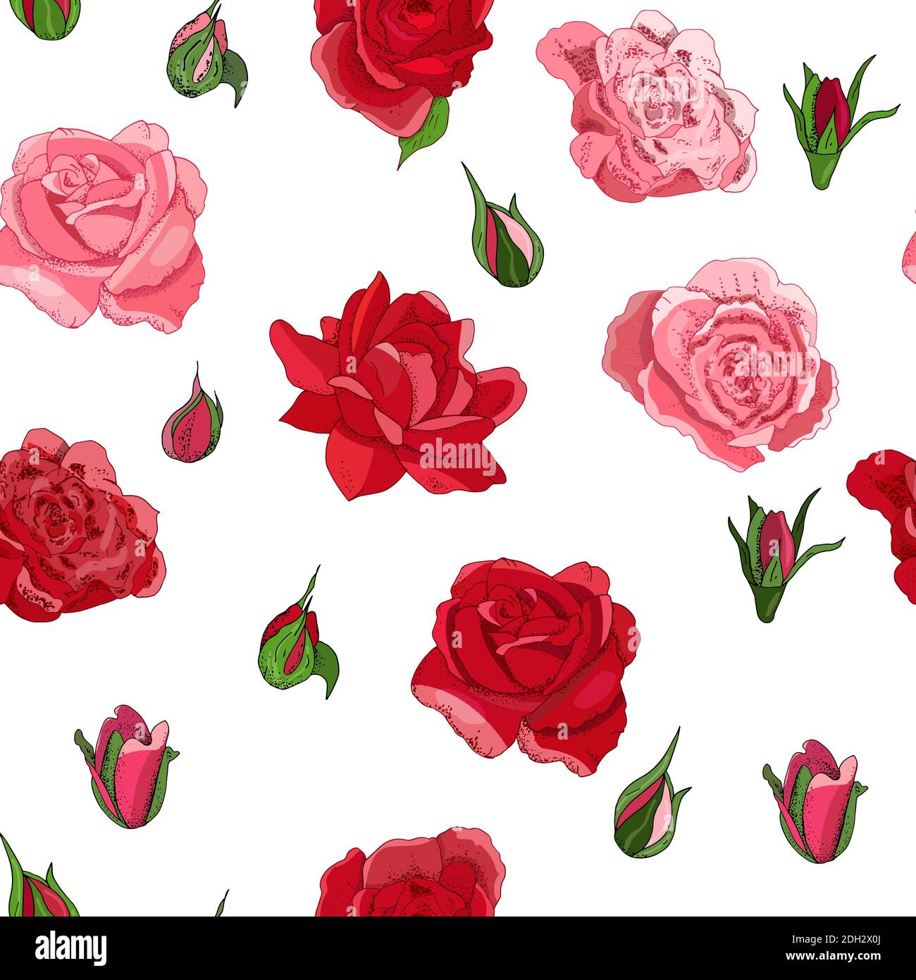 Seamless rose pattern isolated on white background. Vector hand drawn ...