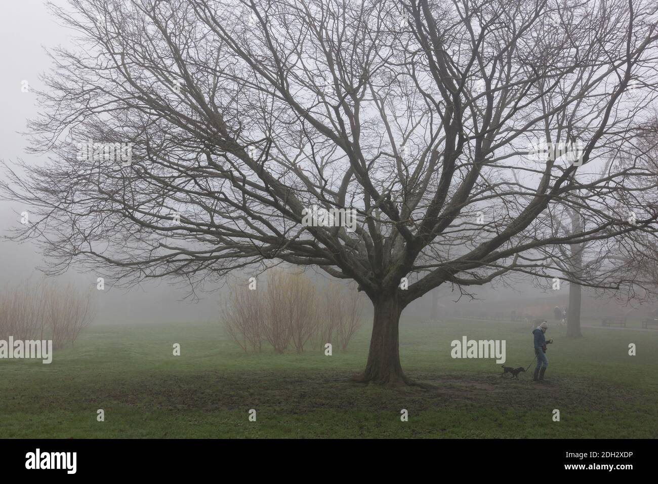 misty morning in Waterlow Park, London, United Kingdom Stock Photo