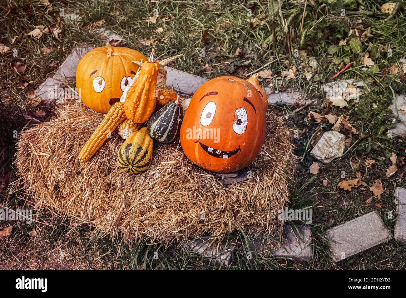 various pumpkins on the hay Stock Photo