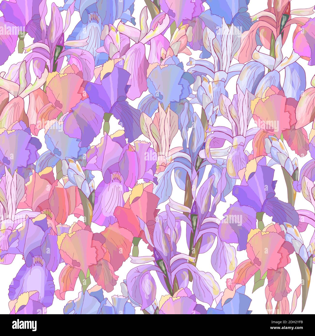 Romantic floral seamless pattern with irises on white. Stock Vector