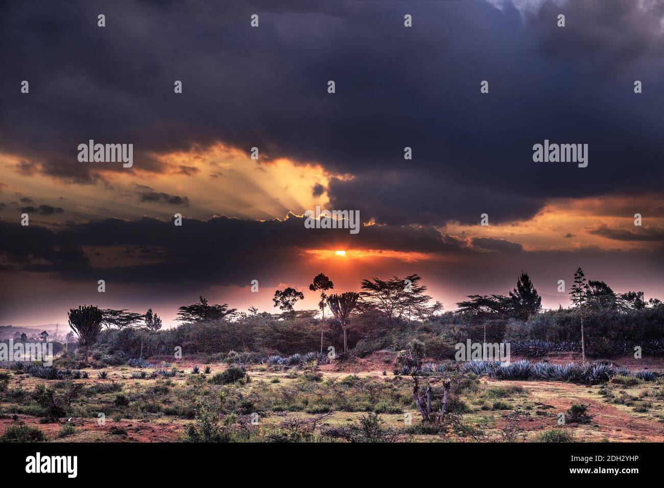 Exploring the country Stock Photo - Alamy