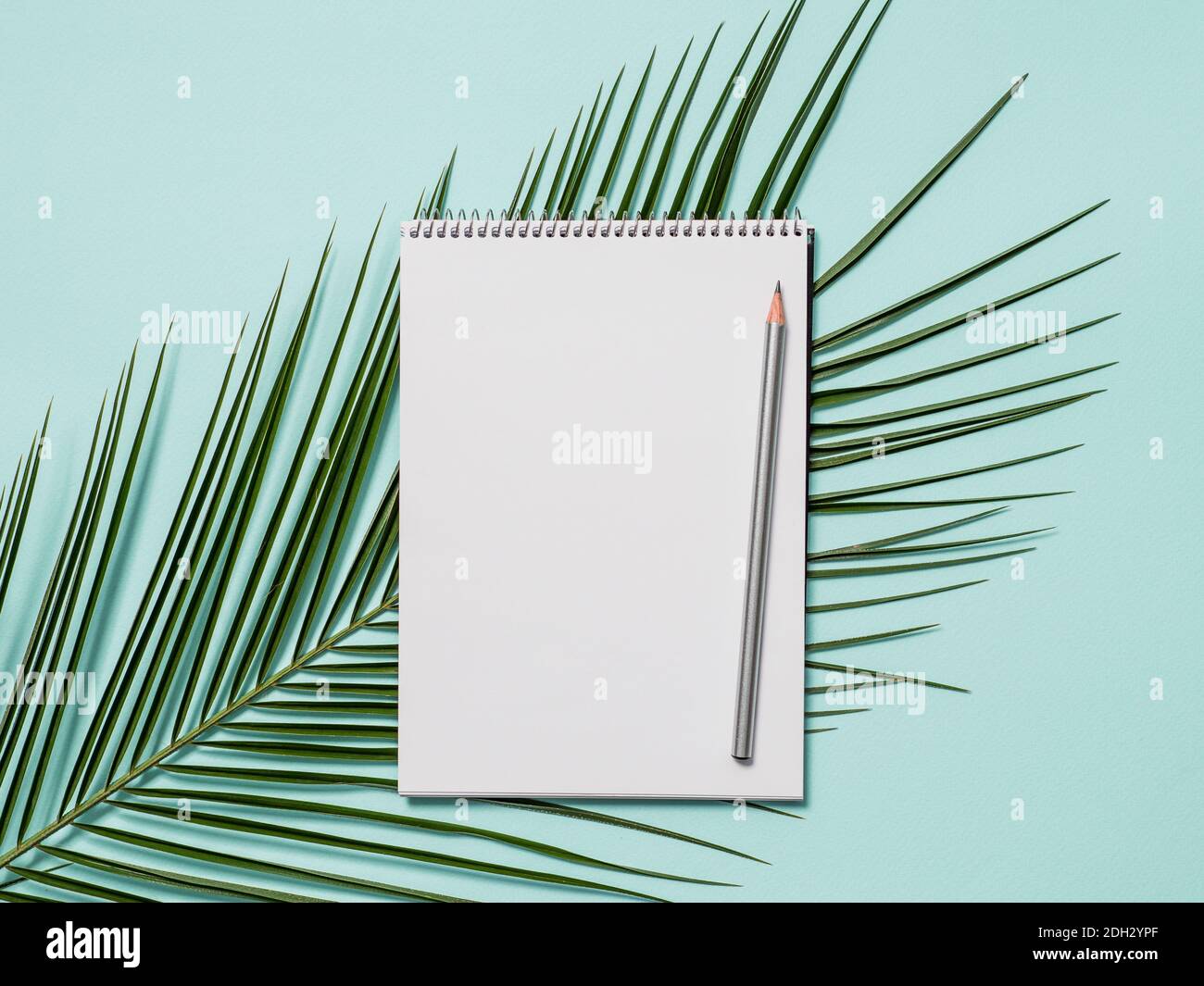 Blank paper notebook and tropical leaf Stock Photo