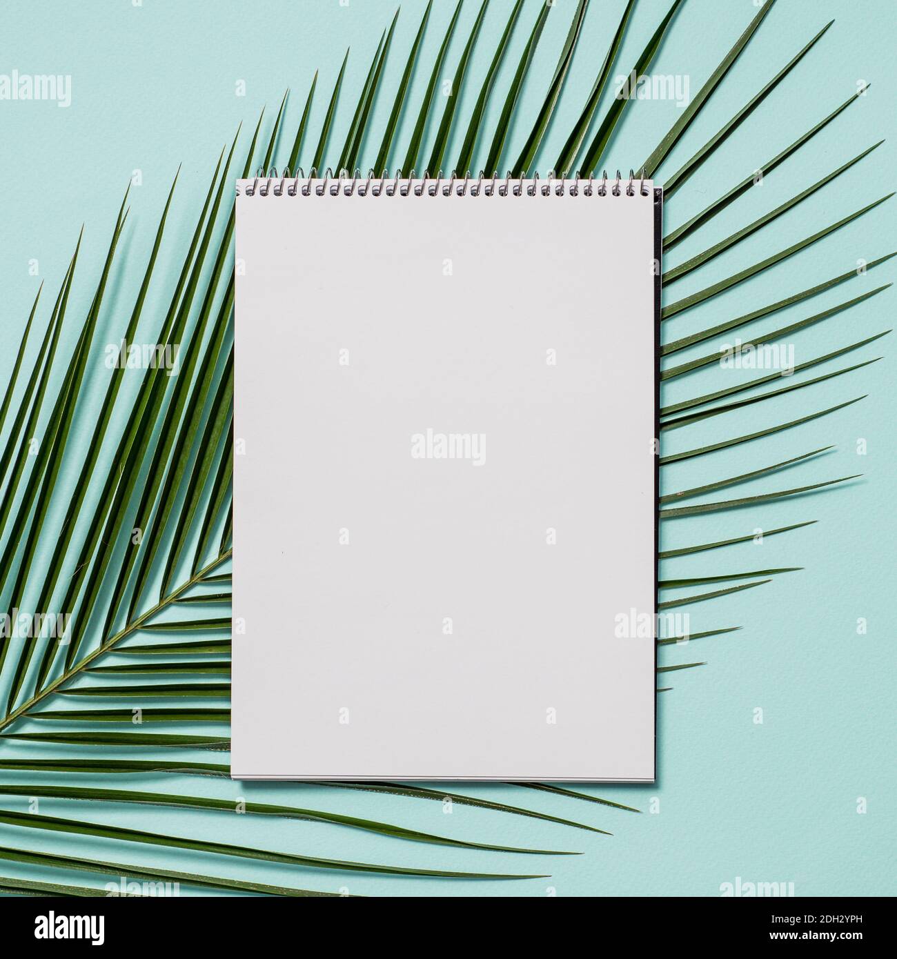 Blank paper notebook and tropical leaf Stock Photo