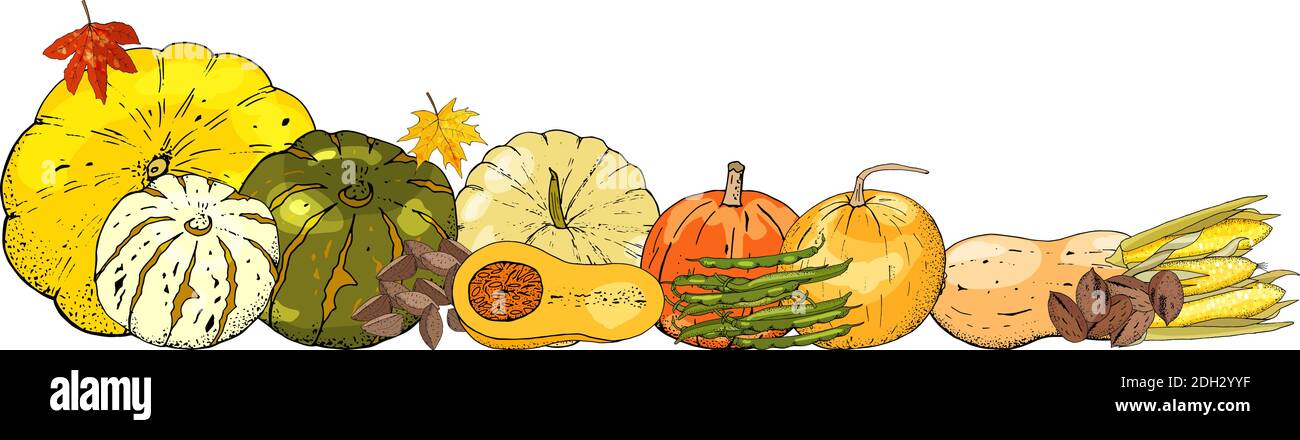 Autumn frame isolated on white background. Pumpkins, leaves Stock ...
