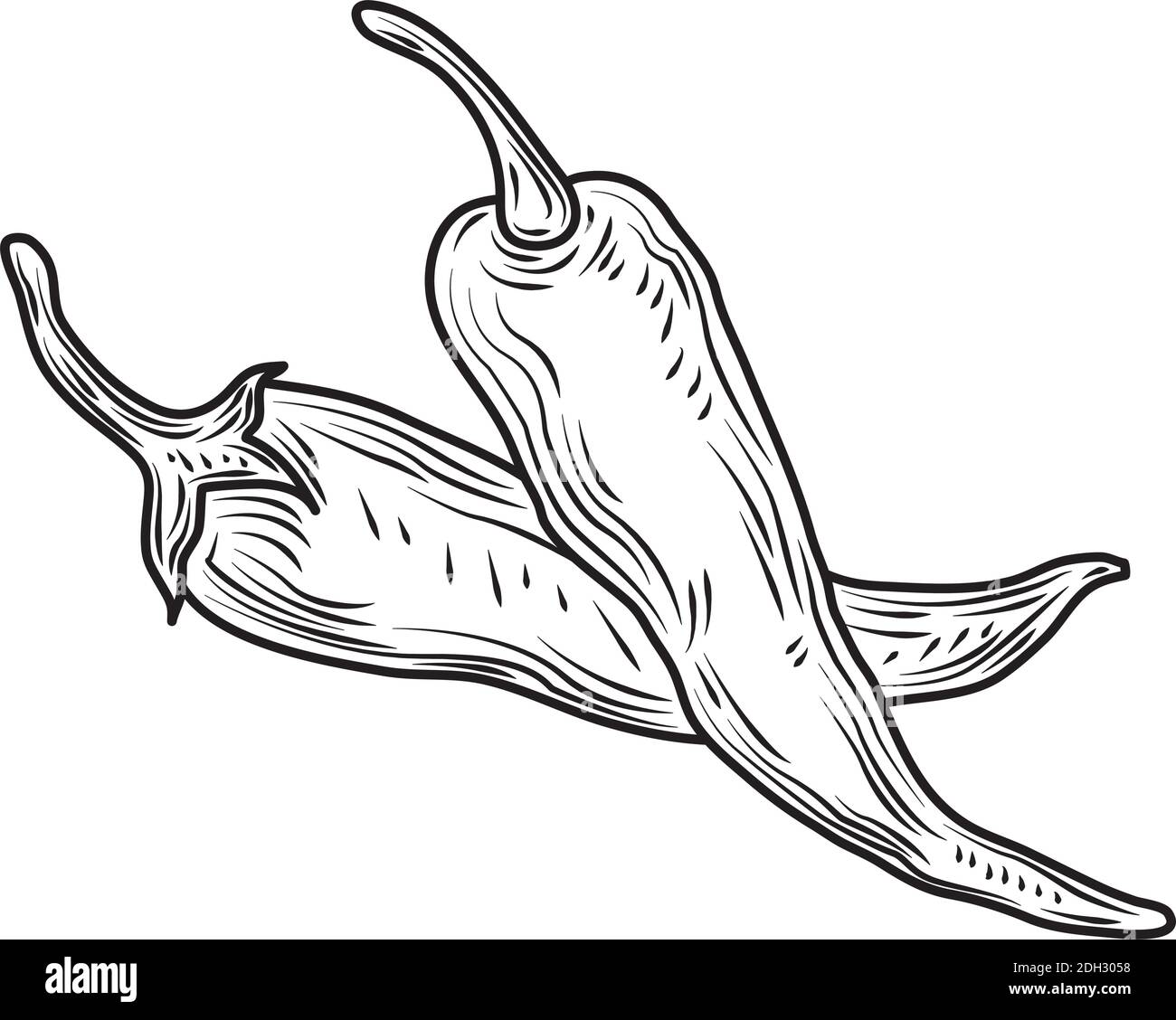 Chili Vector Png