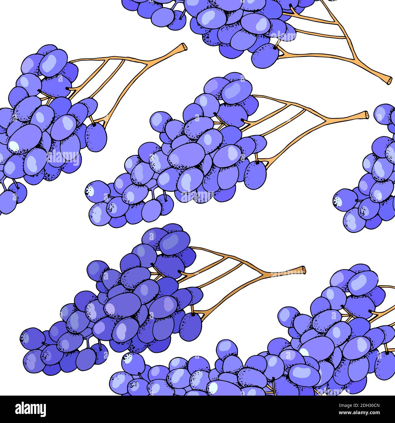 Seamless fruit background with grapes isolated on white. Stock Vector