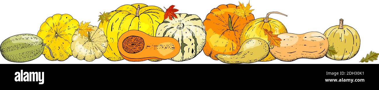 Autumn frame isolated on white background. Pumpkins, leaves Stock ...