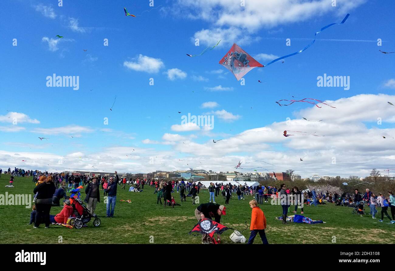 WASCHINGTON, DC April 01, 2017 A large crowd of adults and children flying kites at the Kite