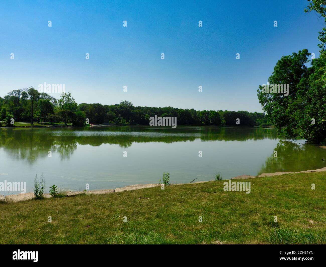 Lake at Park on a Sunny Summer Day with Bright Green Trees Along Lakeshore and Reflected in Calm Water with Bright Blue Sky in Background Stock Photo