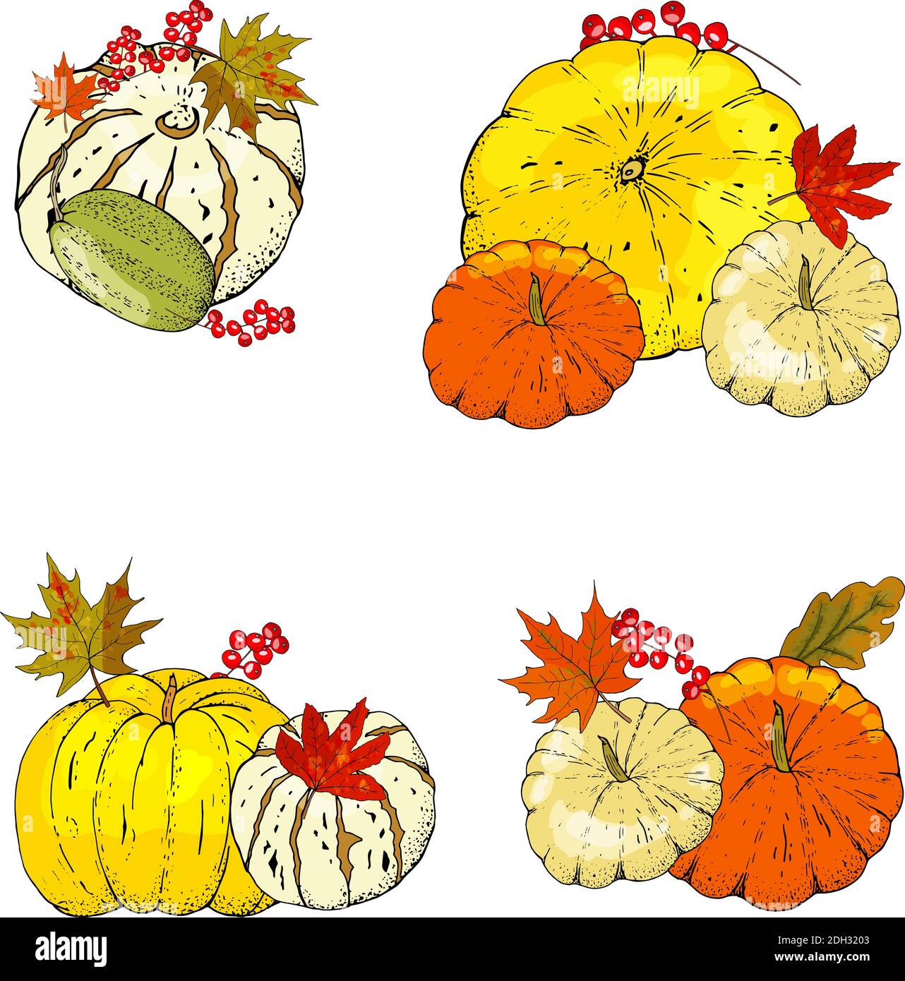 Set of autumn elements isolated on white background. Pumpkins, leaves Stock Vector