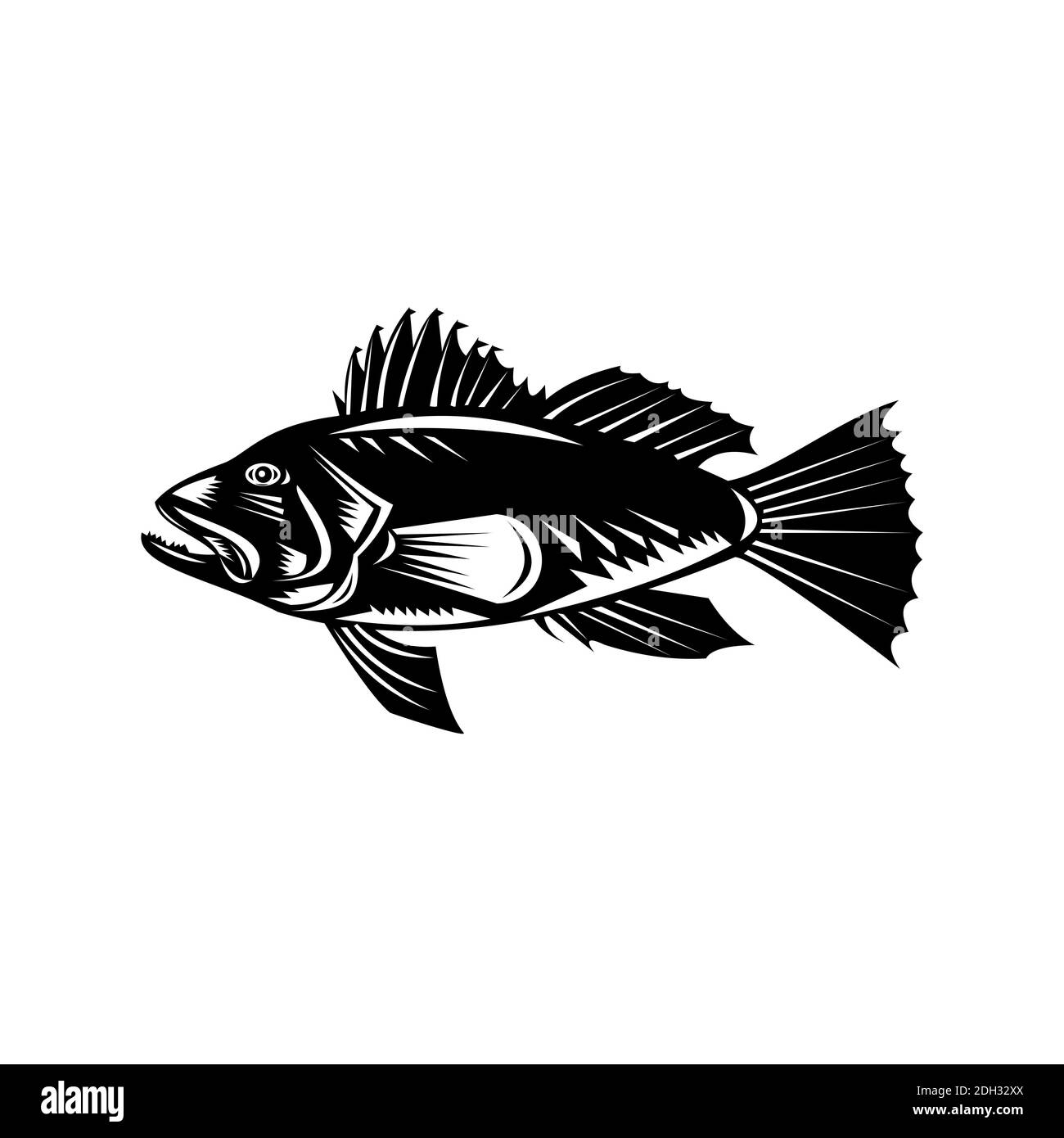 Black Sea Bass or Asian Sea Bass Side View Retro Woodcut Black and