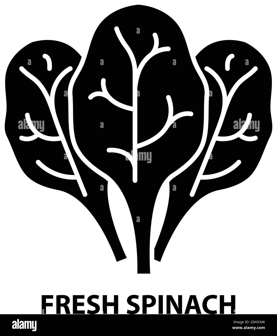 fresh spinach icon, black vector sign with editable strokes, concept