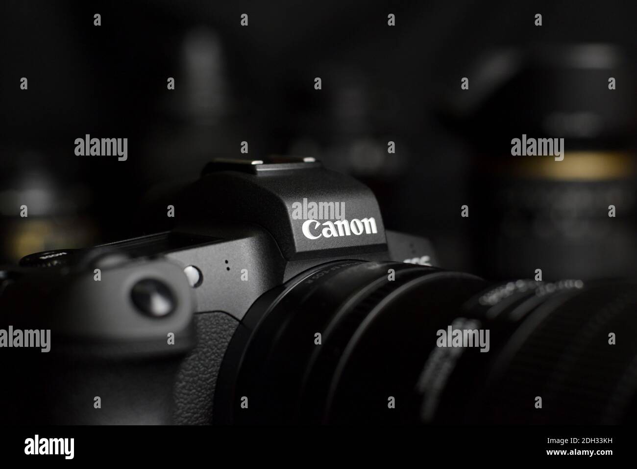canon 30mp