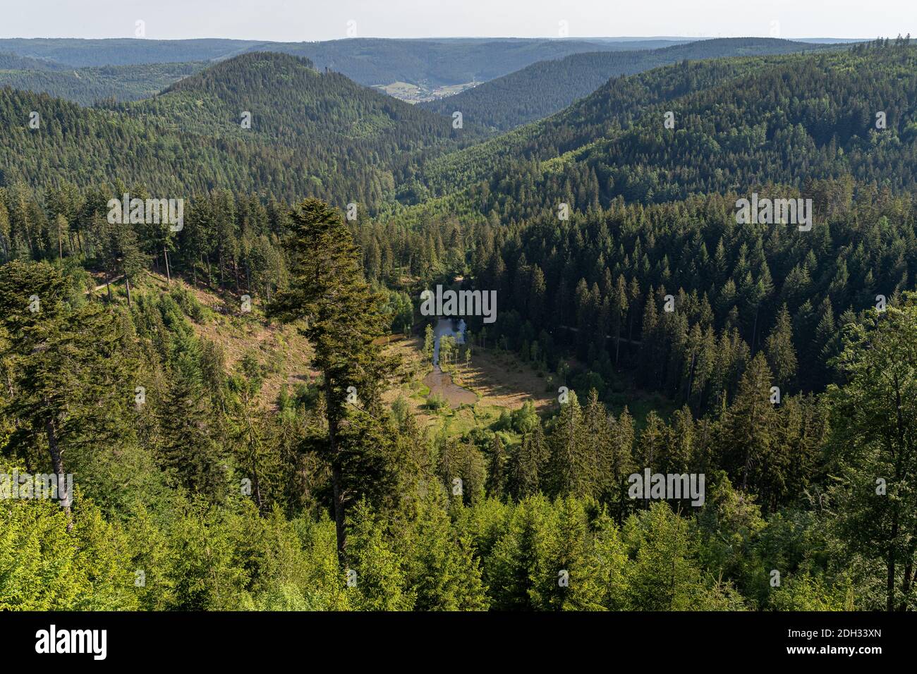 A beautiful shot of a Black Forest, Germany Stock Photo - Alamy