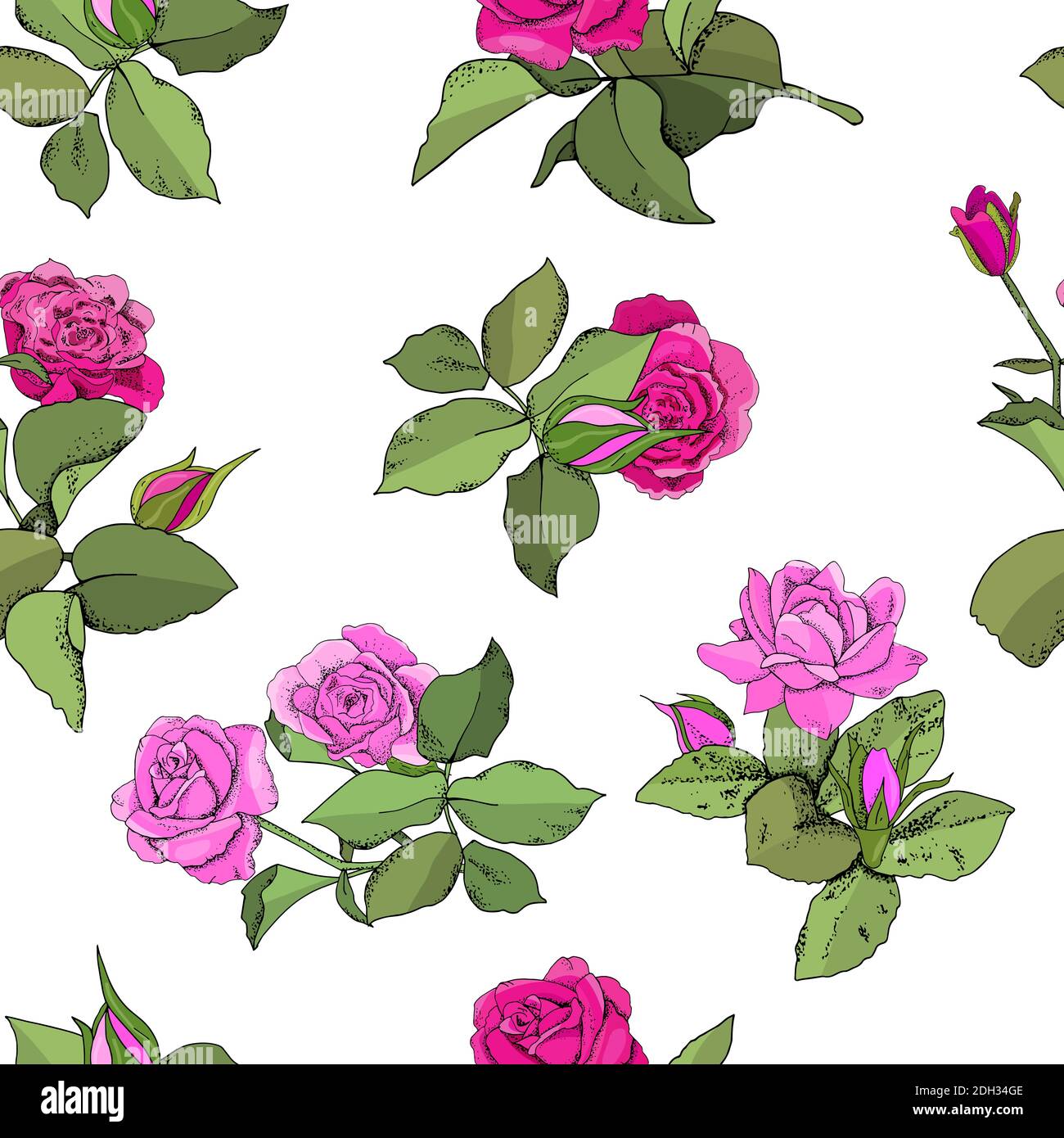 Flowers seamless pattern. Vector hand drawn illustration of roses. For ...