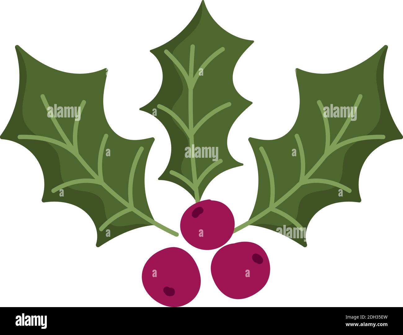 christmas holly berry cartoon icon white background vector illustration Stock Vector Image & Art