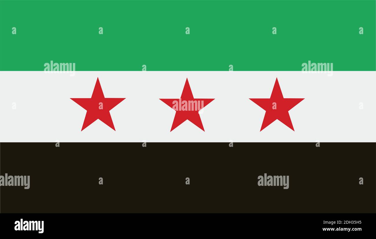 Flag of Syrian Arab Republic Icon. Flat design. Stock Vector