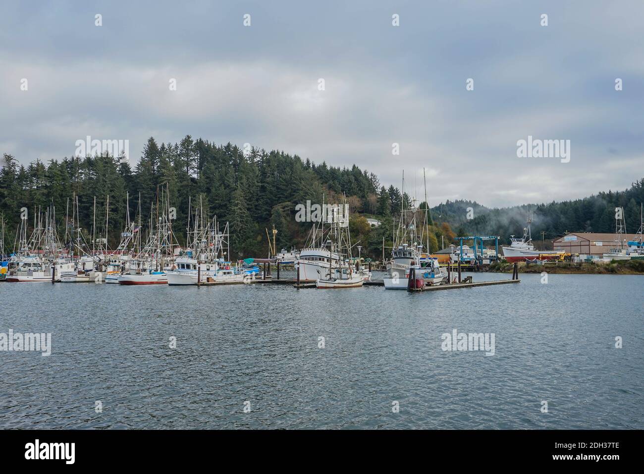 Winchester Bay Marina, Oregon Coast Stock Photo Alamy
