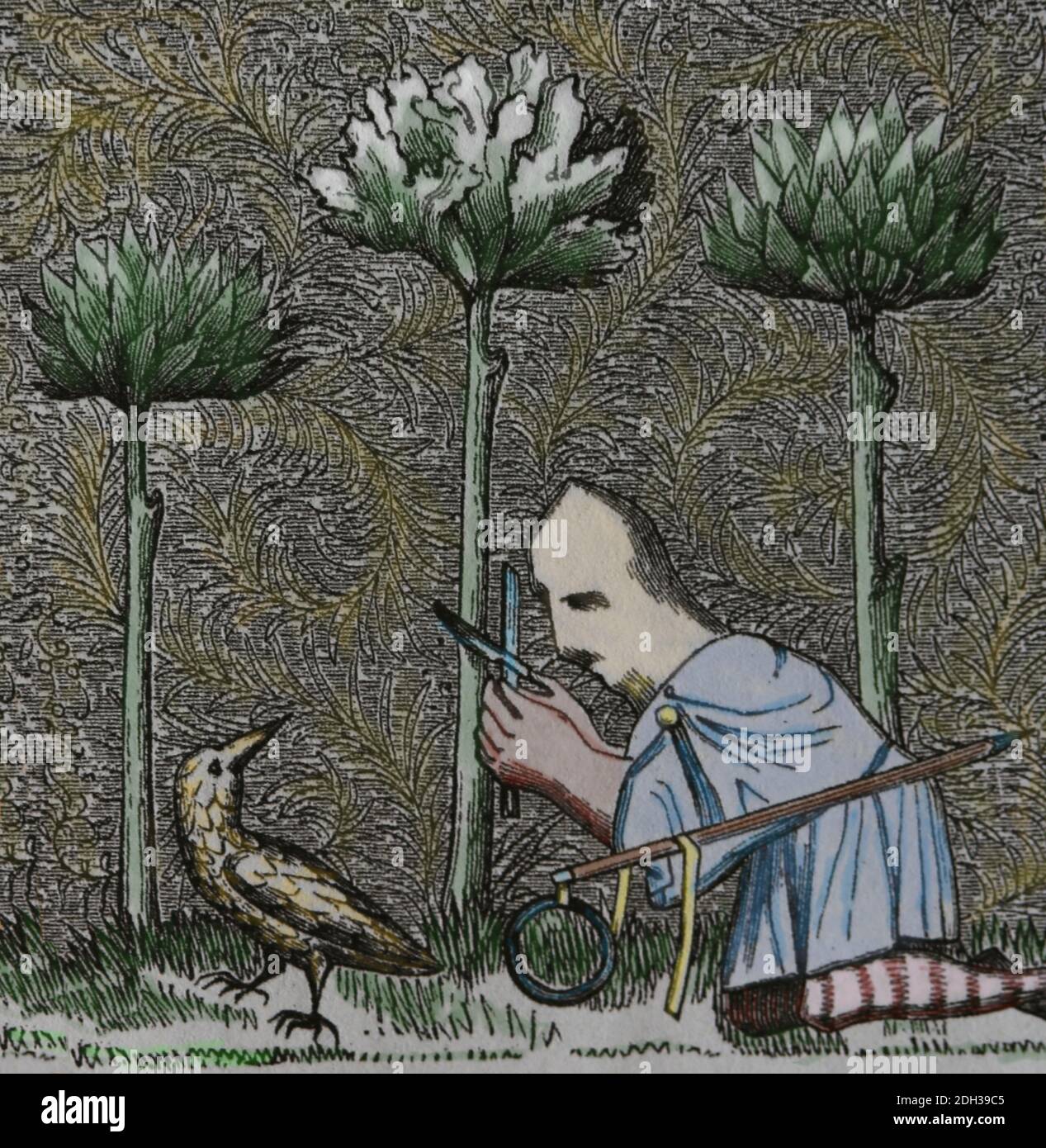 Engraving depicting a bird catcher at work catching woodcock using a disguise and a noose. 14th century. Later colouration. Stock Photo