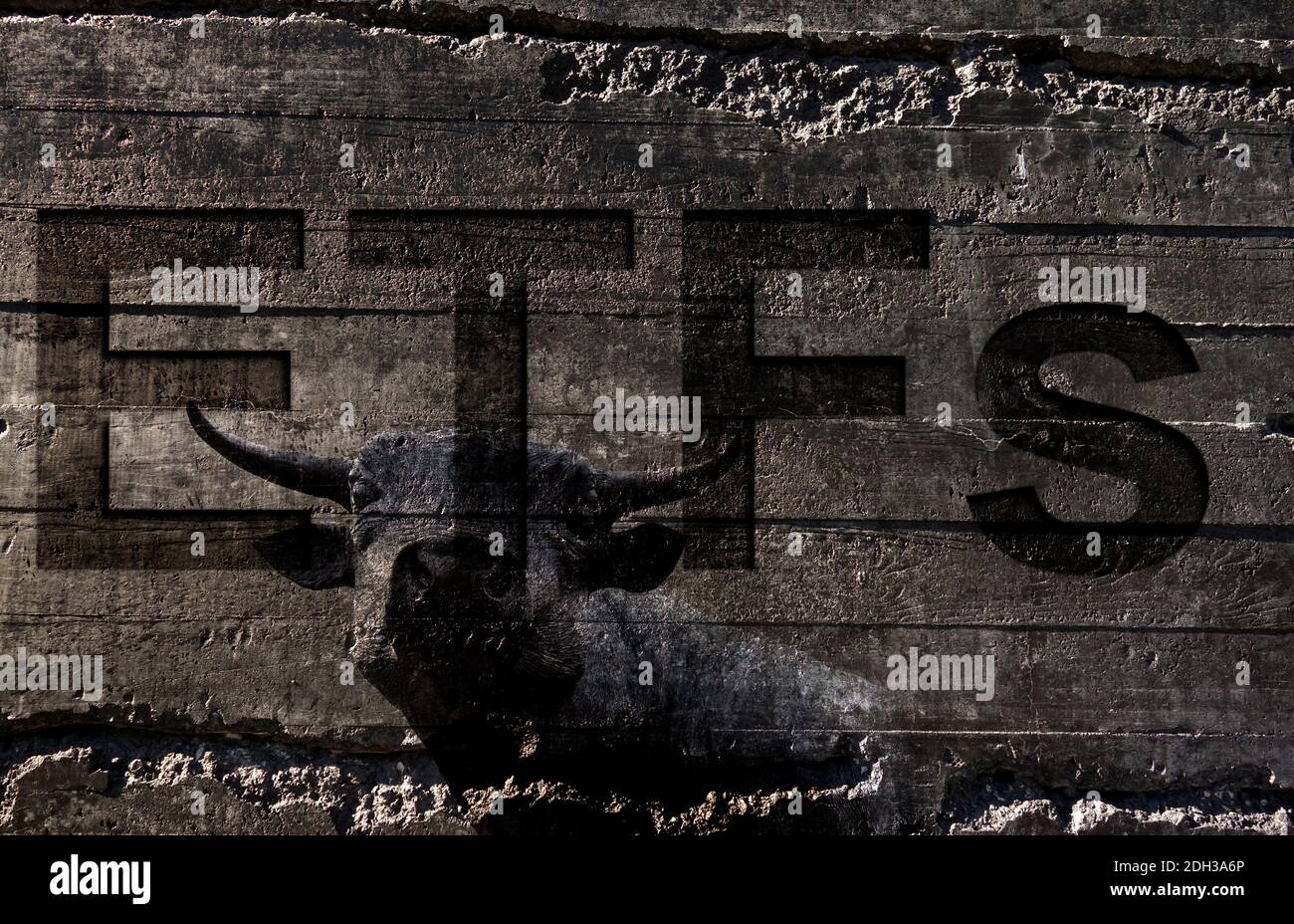 ETF stock fund bull market Stock Photo