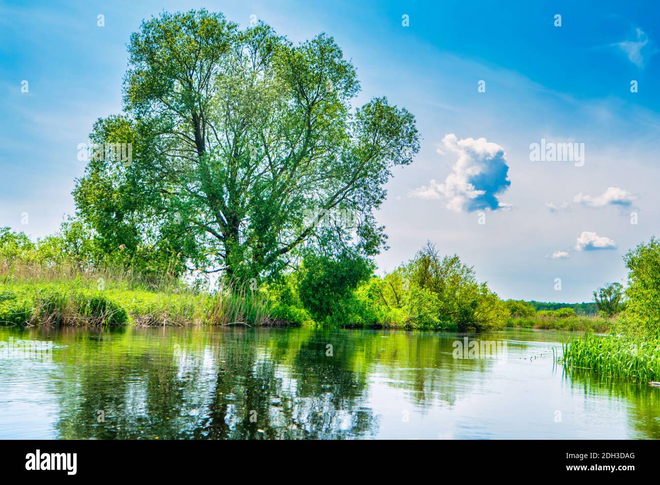 River landscape and green forest Stock Photo - Alamy