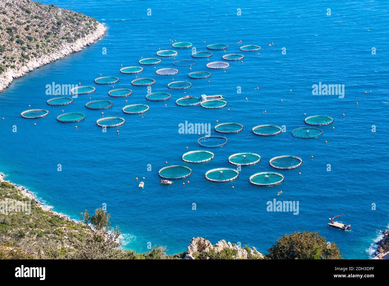 Fish farm with floating cages in Greece Stock Photo Alamy