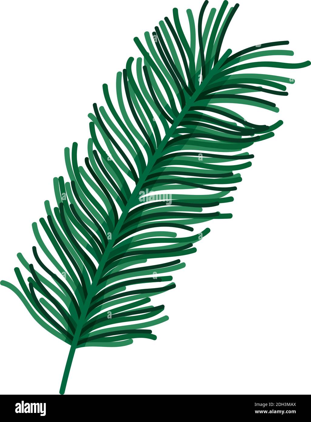 branch pine tree foliage nature icon design vector illustration Stock ...