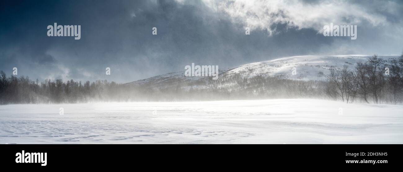 Panoramic view on mountain snow drift in Swedish Lapland. Sunny day, high mountain range with wild arctic birch forest at the lower level. High speed Stock Photo