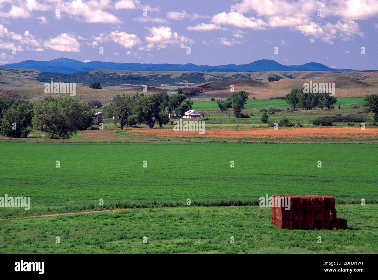 Rural pasture land in South Dakota, United States Stock Photo Alamy