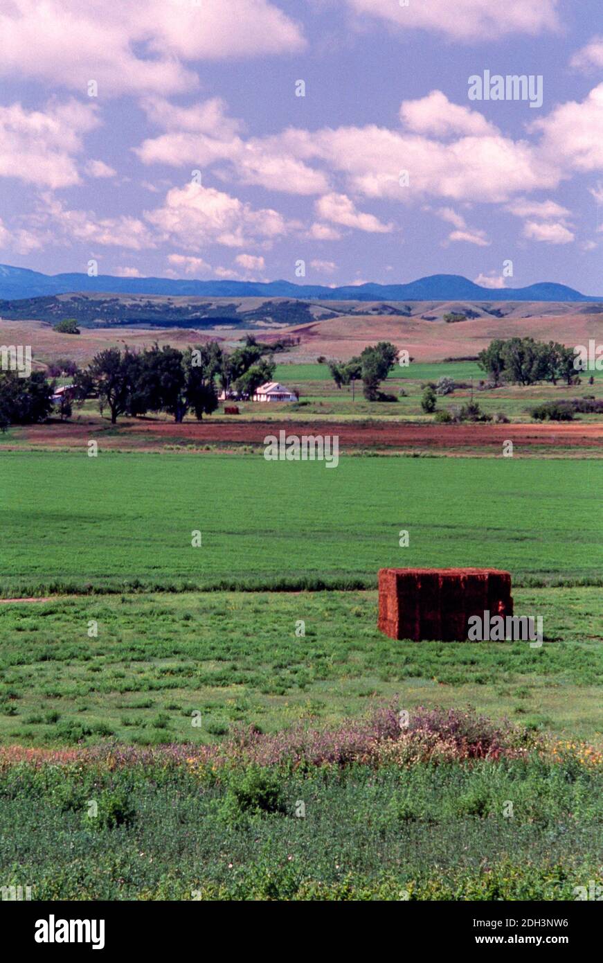Rural pasture land in South Dakota, United States Stock Photo Alamy