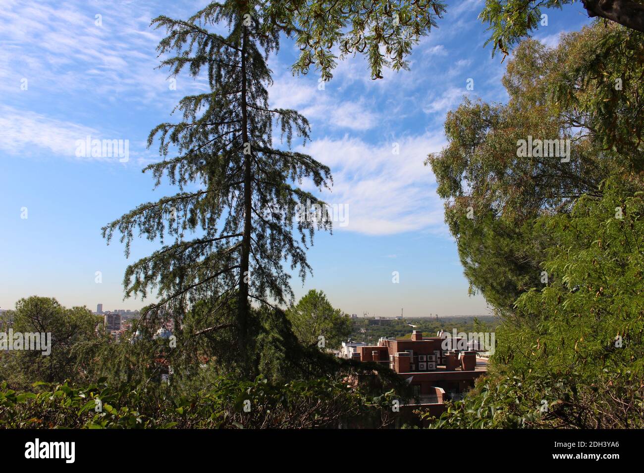 View of Madrid from a park Stock Photo