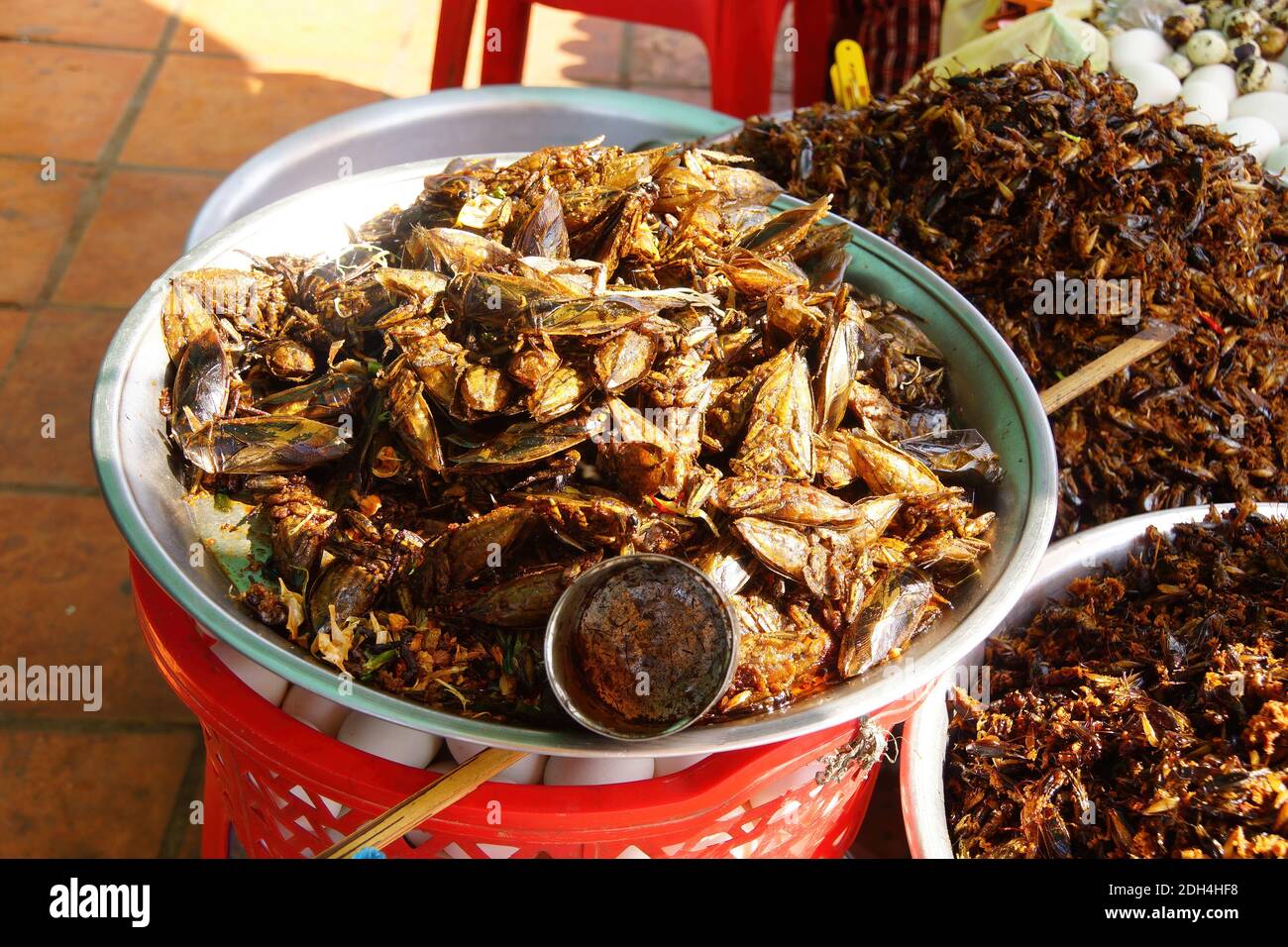 Deep fried insects, a traditional snack, Skoun, Cambodia Stock Photo ...