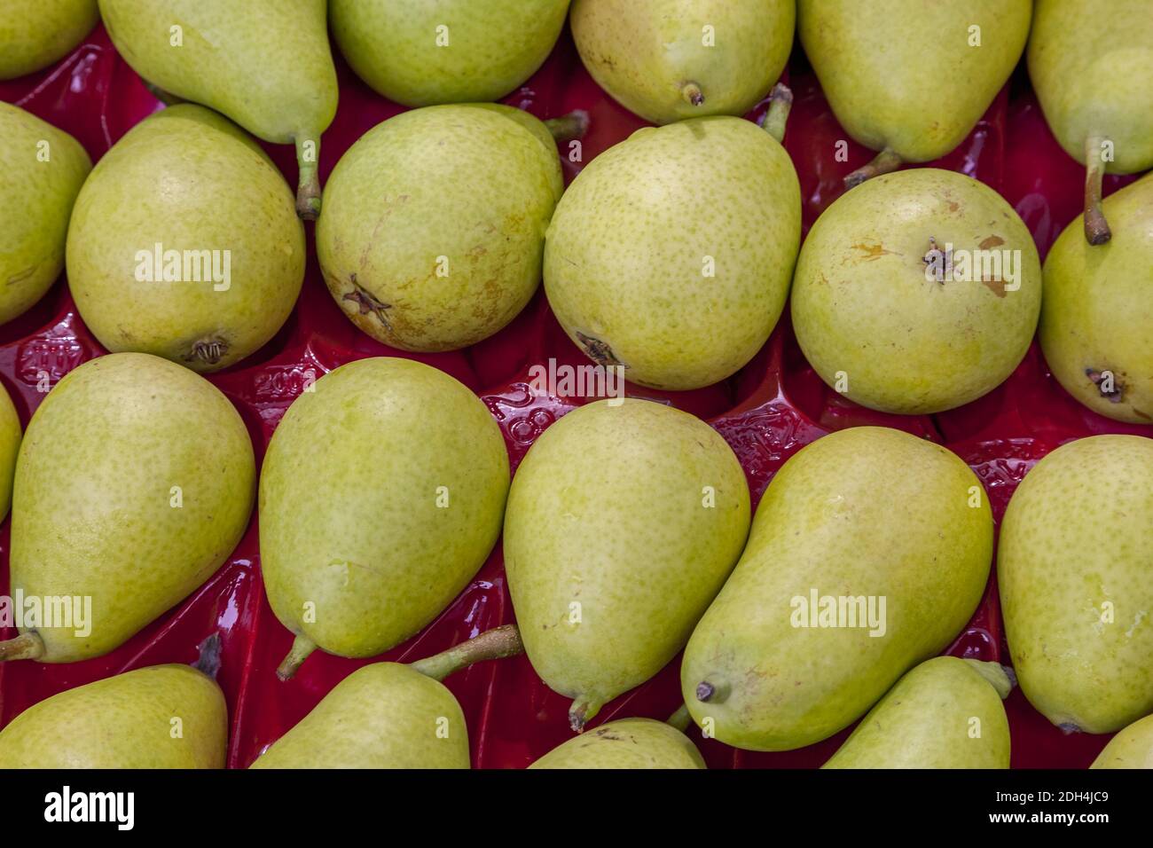 Pears (Pyrus) Stock Photo